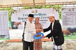 Polda Sulteng dan Polres salurkan sebanyak 231 ekor hewan kurban pada Idul Adha