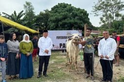 Korem 132 Tadulako serahkan 19 ekor hewan kurban ke panitia untuk disalurkan