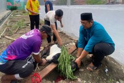 Ditjenpas Sulteng salurkan 34 ekor hewan kurban untuk warga binaan