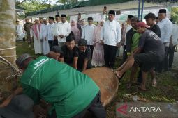 Bupati Asahan pantau penyembelihan 111 hewan kurban
