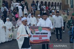 Pemprov Kaltim  salurkan 21 sapi kurban untuk masyarakat