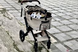 Gaya Bobby Kertanegara pakai koko putih saat Idul Adha