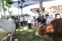 Polda Sumut salurkan 4.000 paket  daging kurban untuk masyarakat