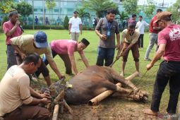 Lapas Cikarang salurkan 140 paket daging kurban kepada warga