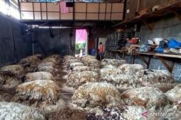 Pengepul kulit hewan kurban di Bekasi ketiban rezeki melimpah