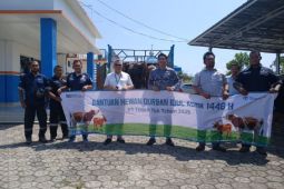 Idul Adha Penuh Makna, PT Timah bagikan hewan kurban bantu masyarakat Bangka Barat