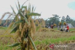 DKPPP Kota Serang usulkan pembangunan 26 titik saluran irigasi