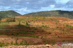 Komisi IV DPR meminta reklamasi tambang BUMN diawasi langsung