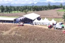 PLN sukses kawal panen raya di perbatasan Kalbar, Sambut Presiden Prabowo dengan listrik andal