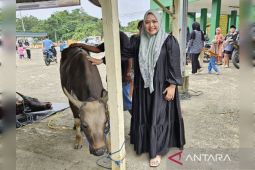 Waket DPRD apresiasi Pemkab Murung Raya salurkan 50 hewan kurban