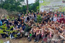 Pemkab Bogor apresiasi penanaman seribu pohon di Puncak oleh PT BAP