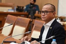 Legislator apresiasi KESDM-KLH merespons tegas masalah tambang