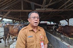 Selama Idul Adha, DPKP Tangerang total periksa 33.571 ekor hewan