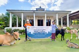 CMI Salurkan 32 hewan kurban ke masyarakat area operasi