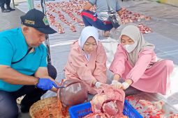 Dispangtan Kota Malang temukan 583 hewan kurban terpapar cacing hati