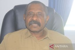 Pemkab Jayawijaya sebut aplikasi Baliem Shop metode aman transaksi belanja daring