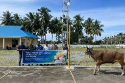 DSLNG salurkan 19 ekor sapi kurban sambut Idul Adha 1446 H
