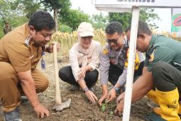 Pemkab Bojonegoro manfaatkan lahan tidur untuk kesejahteraan masyarakat