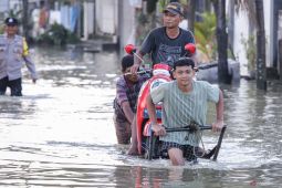 Sebanyak 13 Desa di Gresik terendam banjir Kali Lamong dan Surabaya