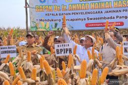 BPJPH sebut jagung hasil rekayasa genetik merupakan produk halal