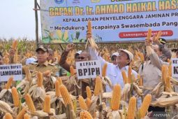 Strategi mewujudkan ketahanan pangan Indonesia