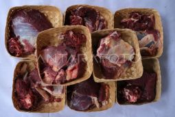 Pemotongan sapi kurban Presiden di Pontianak