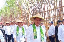 Mentan tinjau kebun tebu di Lumajang optimistis swasembada gula terwujud