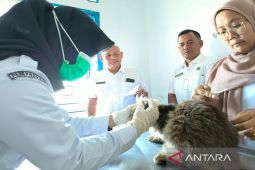 Kadis Pertanian Madina resmikan kantor UPT Puskeswan Panyabungan