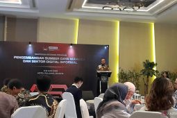 Pemerintah lakukan transformasi atasi kesenjangan talenta digital