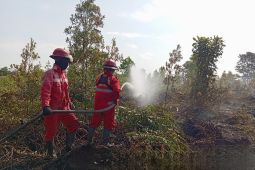 Tim gabungan terus melakukan upaya pemadaman karhutla di Singkawang