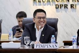 Anggota Komisi I DPR: Penertiban tambang Raja Ampat bisa menular