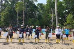 PT Timah tanam ribuan mangrove di Pantai Tanjung Labun