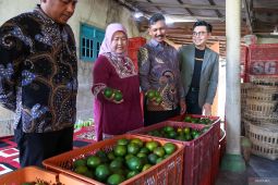 Pemberdayaan masyarakat lewat pendampingan di Daerah