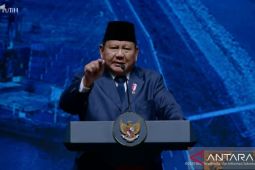 Presiden Prabowo cabut aturan penambahan PNM ke Waskita Karya