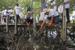 Aksi bersih sampah di hutan mangrove