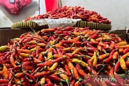 Harga cabai rawit Rp50.963/kg, bawang merah Rp39.642/kg