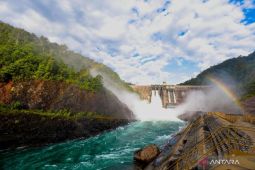 Vale Buktikan Tambang Bisa Ramah Lingkungan dan Berkelanjutan