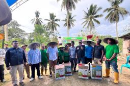 Anggota DPR RI serahkan bantuan 12 alsintan bagi petani di Konsel