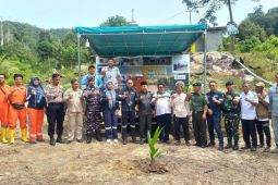 PT Timah tanam ratusan pohon produktif di Hutan Pelambung