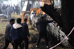 Kemlu: Tak ada WNI dalam pesawat Air India yang jatuh di Ahmedabad