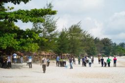 PT Timah - Pokdarwis Rambak bersihkan sampah plastik Pantai Batu Tunggal