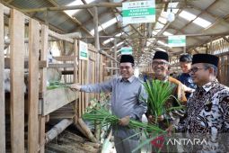 Baznas meningkatkan kesejahteraan mustahik di Cirebon lewat Balai Ternak