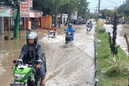 BNPB catat bencana hidrometeorologi picu ratusan korban di awal Juni