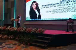 Wamendukbangga: Capai visi Indonesia emas perlu upaya sistematis