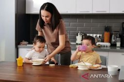 Istri perlu dukungan agar waras jalani peran
