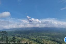 Semeru kembali alami erupsi dengan tinggi letusan 700 meter di atas puncak
