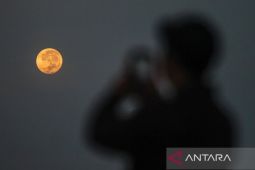 Mengenal fenomena Strawberry Moon dan bagaimana itu bisa terjadi?