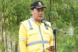 Pemkab Magetan: Luas ruang terbuka hijau baru capai 13 persen