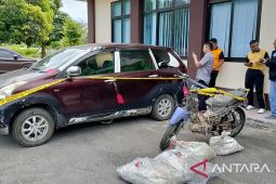 Pemkab-Sigi pastikan tidak ada lagi aktivitas tambang emas ilegal