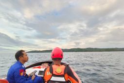SAR cari seorang penumpang KN Sabuk Nusantara jatuh di perairan Banggai Laut